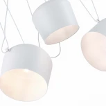 Подвесной светильник Evoluce Trieste SLE120653-03 (220V)