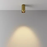 Потолочный светильник накладной Maytoni Focus Led C056CL-L12W2.7K-W-BS (220V, круглые)