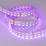 Светодиодная лента Arlight RT 2-5000 011823
