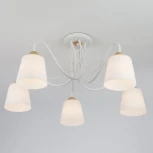 Потолочная люстра Eurosvet Betty 70062/5 белый (220V)