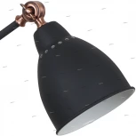 Офисная настольная лампа Arte Lamp Braccio A2054LT-1BK (220V)