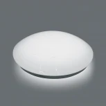 Потолочный светильник Feron 41743