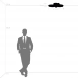 Потолочная люстра Lightstar Breve 749081 (LED, 220V, кольцо)