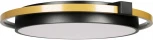 Потолочный светильник Mike 10170