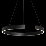 Подвесной светильник Loft IT Ring 10025/600 Black