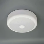 Настенно-потолочный светильник Citilux Фостер-1 CL706110