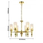 Подвесная люстра Favourite Anima 2812-6P