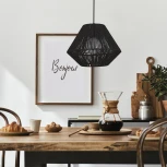 Подвесной светильник Evoluce Ettan SLE6025-403-01 черный/черный E27 1*40W (220V, на проводе)