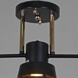 Потолочная люстра на штанге Reluce 06074-3.3-03 BK+FG (220V)