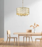 Подвесная люстра Simple Story 1093 1093-R6PL (220V, на цепи, круглые)