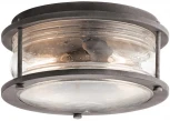 Потолочный светильник уличный Ashland Bay KL-ASHLANDBAY-F Kichler