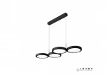Подвесной светильник iLedex Ring Star 9004-4-D BK