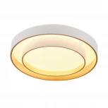 Потолочный светодиодный светильник круглый MyFar Rhea MR9161-CL (регулировка яркости, 220V, пульт управления, круглые)