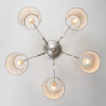 Потолочная люстра Eurosvet Liona 60065/5 серебро (220V, хрусталь Strotskis)