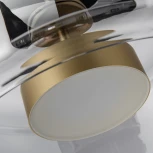 Подвесной светильник Favourite Reflex 4234-1P (LED, 220V, на тросе)