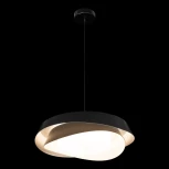 Подвесной светильник Loft It Petale 10256P Black (LED, 220V, на проводе, круглые)