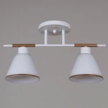 Потолочная люстра на штанге Reluce 07594-0.3-02 WG (220V)