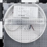 Подвесной светильник Citilux Паркер CL225115r