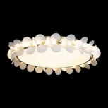 Потолочный светильник круглый Bride 10176 (LED, 220V, цветы, круглые)