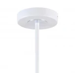 Потолочная люстра F-Promo Viator 2559-5P (220V)