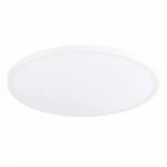 Настенно-потолочный светильник ST Luce St601 ST601.542.48