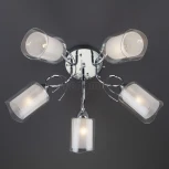 Потолочная люстра Eurosvet Renee 30122/5 хром