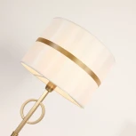 Интерьерная настольная лампа Favourite Mateo 2634-1T (220V)