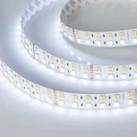 Светодиодная лента RT-B144-19mm 24V RGBW-Day (32 W/m, IP20, 5m) (Arlight, -) 018144(3)