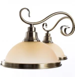 Подвесная люстра Arte Lamp Safari A6905LM-5AB