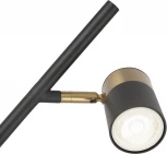 Торшер Freya Enzo FR5201FL-01B (220V)