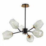 Потолочная люстра Evoluce Terramo SLE205102-06