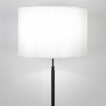 Торшер с выключателем Eurosvet Notturno 01163/1 черный (220V)