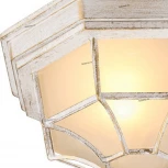 Потолочный светильник уличный Arte Lamp Pegasus A3121PF-1WG (220V, IP44)