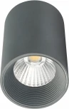 Точечный накладной светильник Escada 20003 20003SMU/01LED SGY