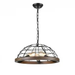 Подвесной светильник Vele Luce Bensen 983 VL6022P05