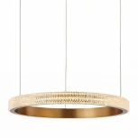 Подвесной светильник L'Arte Luce Aura L46703 (LED, 220V, на тросе, кольцо)