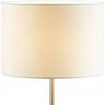 Интерьерная настольная лампа Lumion Nikki 3745/1T (220V, выключатель)