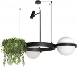 Подвесной светильник Loft It Jardin 10121/2 (LED, 220V, на тросе, шар)