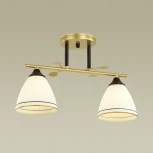 Потолочная люстра Lumion Becky 4544/2C