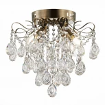 Потолочная люстра Evoluce Kame SLE160102-04