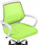 Компьютерное кресло Woodville Ergoplus green / white 15374