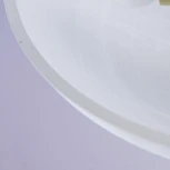 Потолочная люстра MW-Light Аида 323012603