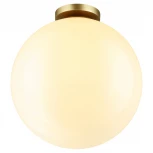 Потолочный светильник уличный Odeon Light Bosco 4250/1C