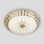 Потолочный светильник светодиодный с пультом с регулировкой цветовой температуры и яркости LED4U LED4U L1111-500 GD