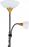Торшер Arte Lamp Duetto A9569PN-2BK (220V, выключатель)