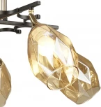 Потолочная люстра Wedo Light Deylna 66749.01.69.05