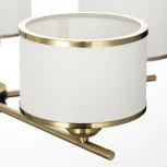 Потолочная люстра на штанге Citilux Alton CL421253 (220V)