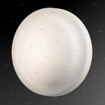 Настенно-потолочный светильник Odeon Light Tavoy 2760/1C