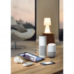 Интерьерная настольная лампа Eglo Frattina-C 97813