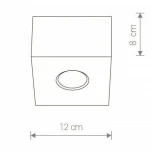 Накладной точечный светильник Nowodvorski Carson 5573 (220V)